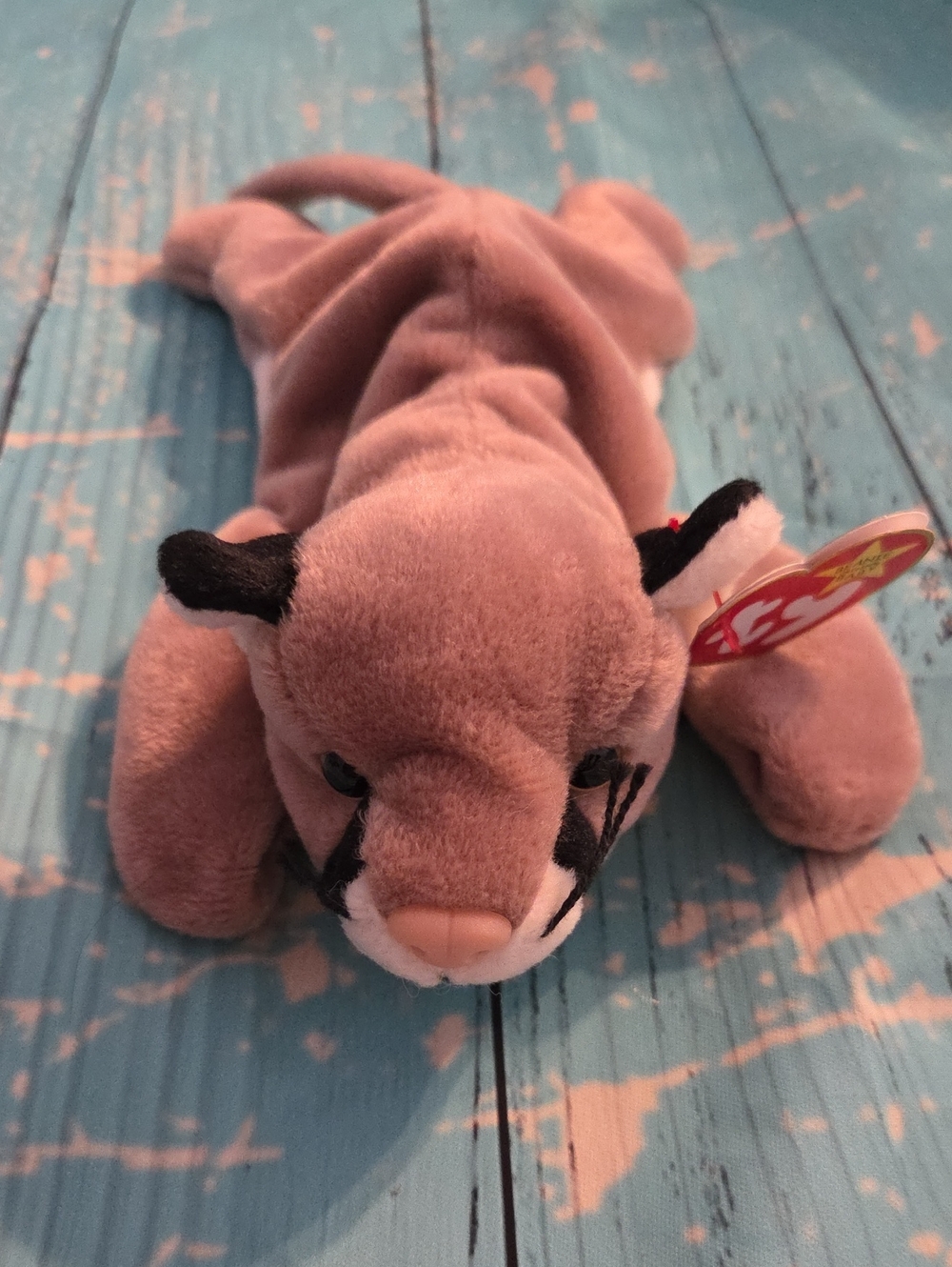 Ty Canyon Beanie Baby